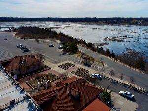 Parking Lot and Marsh.JPG