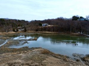 Marsh Land at back Parking Lot.JPG